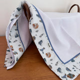 Cueiro Flanelado - Carros e Montanhas